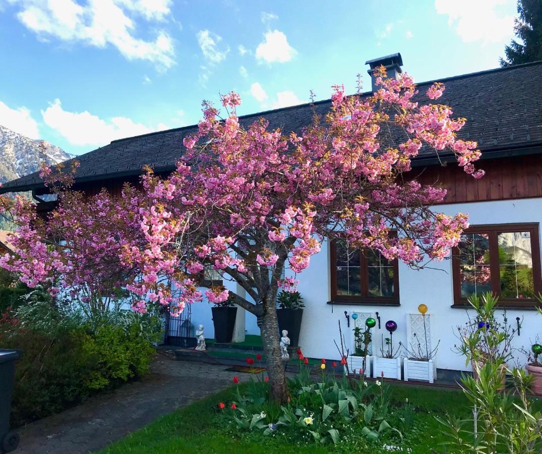バート・アウスゼー Haus Belliヴィラ エクステリア 写真